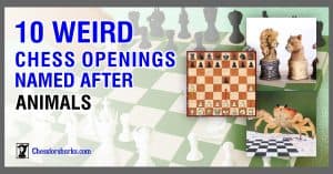 Weird Chess Openings with Animal Names