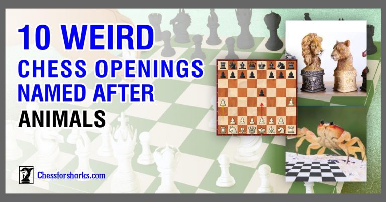 Weird Chess Openings with Animal Names