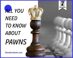 All you need to know about Pawns in Chess