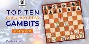 Chess Gambit
