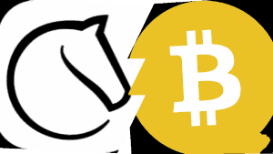 Chess: Bitcoin Hunt And Dead Lichess Servers