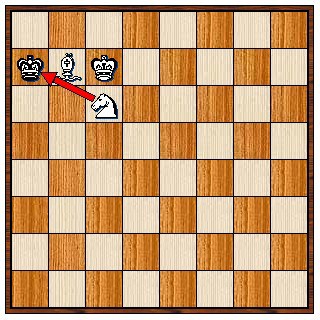 Learn The Bishop And Knight Checkmate: Understanding The Chess Pieces 6 image 21