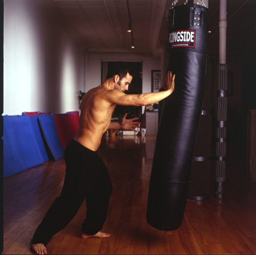 Josh Waitzkin into the martial arts