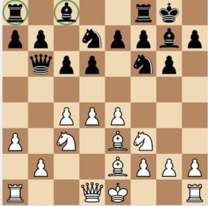 How To Play Chess For Beginners: Learn Rules, Moves, Setup, Efficient Tactics & Strategy 12 kings indian cramped position 300x297 1