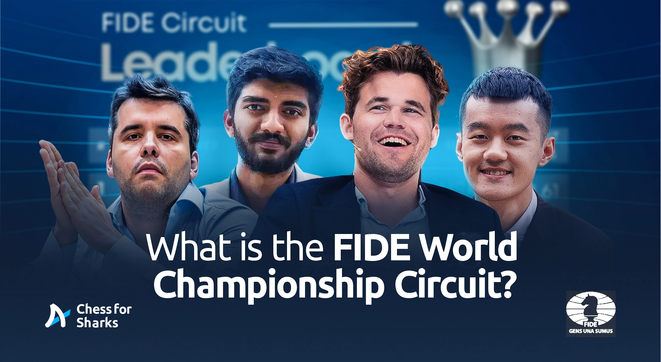 Top Participating players in the World Championship Circuit