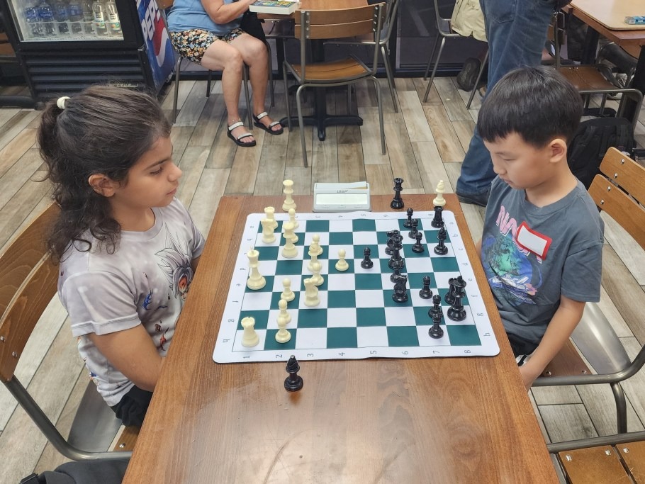 How Chess is Used for Social Impact and Youth Development 1 image 1